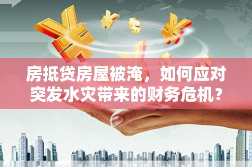 山南房抵贷房屋被淹，如何应对突发水灾带来的财务危机？