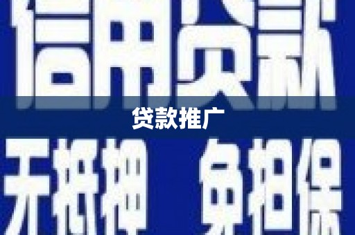 善化贷款推广