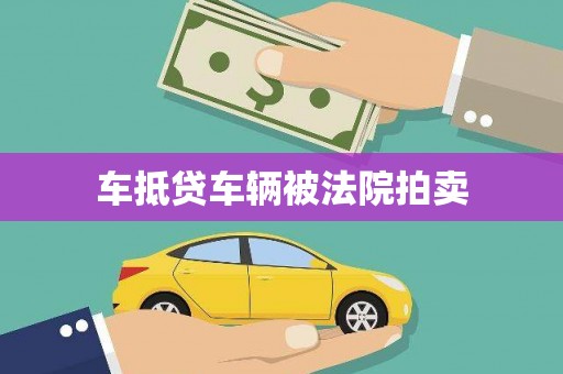 泸定车抵贷车辆被法院拍卖