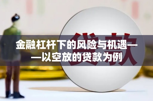 佳里金融杠杆下的风险与机遇——以空放的贷款为例